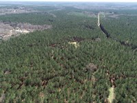 359 Acre Development Property : Covington : Newton County : Georgia