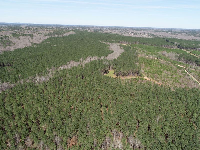 226 Acre Investment Property : Covington : Newton County : Georgia