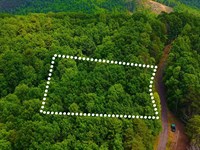 Quiet Lot Mins From Waterfalls : Connelly Springs : Burke County : North Carolina