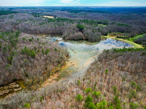 Lonesome Dove Farm : Gray Court : Laurens County : South Carolina