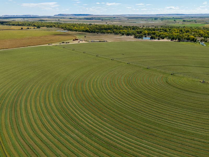 Sheep Creek Farm and Hunt : Morrill : Scotts Bluff County : Nebraska