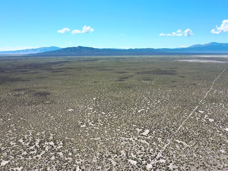 Discover Your Dream on 40 Acres : Wells : Elko County : Nevada