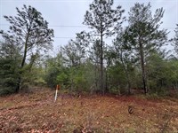 Begin Your Land Ownership Today : Interlachen : Putnam County : Florida