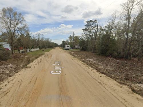 Stress Less, Live More : Interlachen : Putnam County : Florida