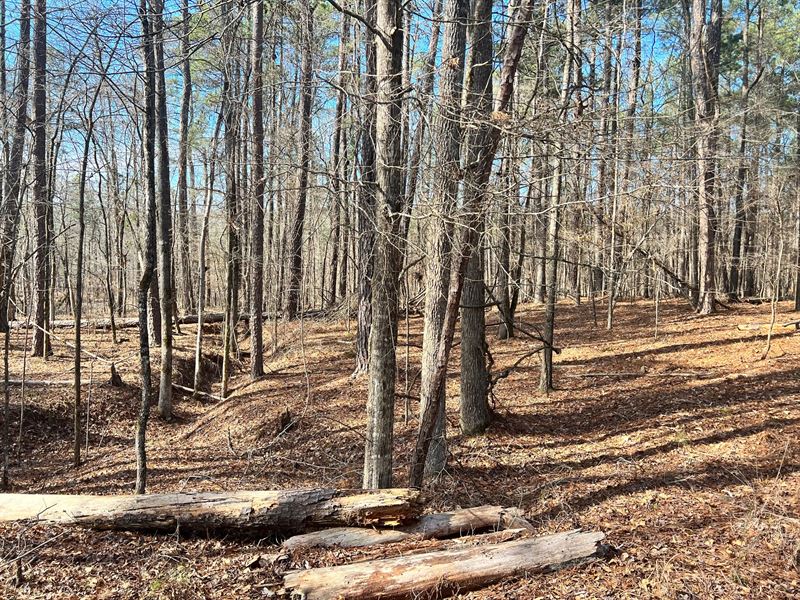 .52 Acre Only 28 Min From Sparta : Sparta : Hancock County : Georgia