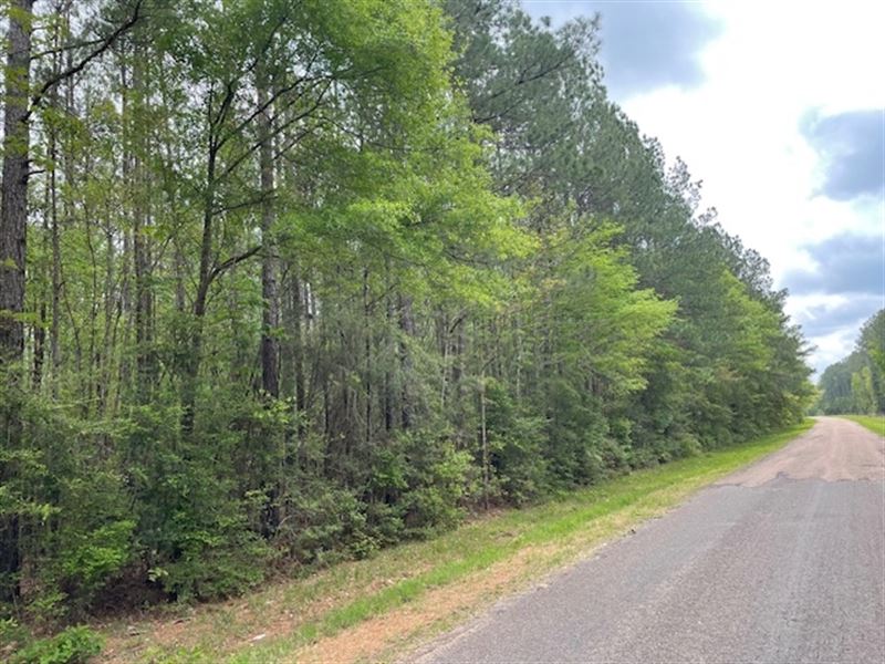 62.25 Ac Charlie Rhodus Rd : Magnolia : Pike County : Mississippi
