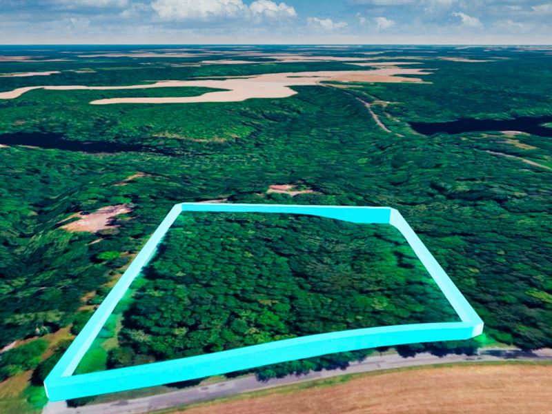 5.5 Acres with Power & Road Access : Heathsville : Northumberland County : Virginia