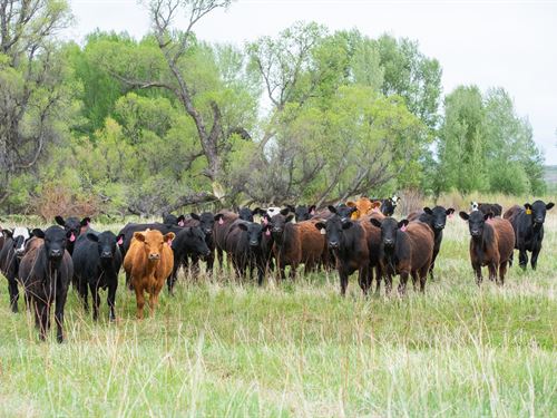 Thunder Water Ranch : Craig : Moffat County : Colorado