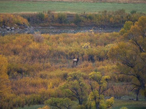 Thunder Water Ranch : Craig : Moffat County : Colorado