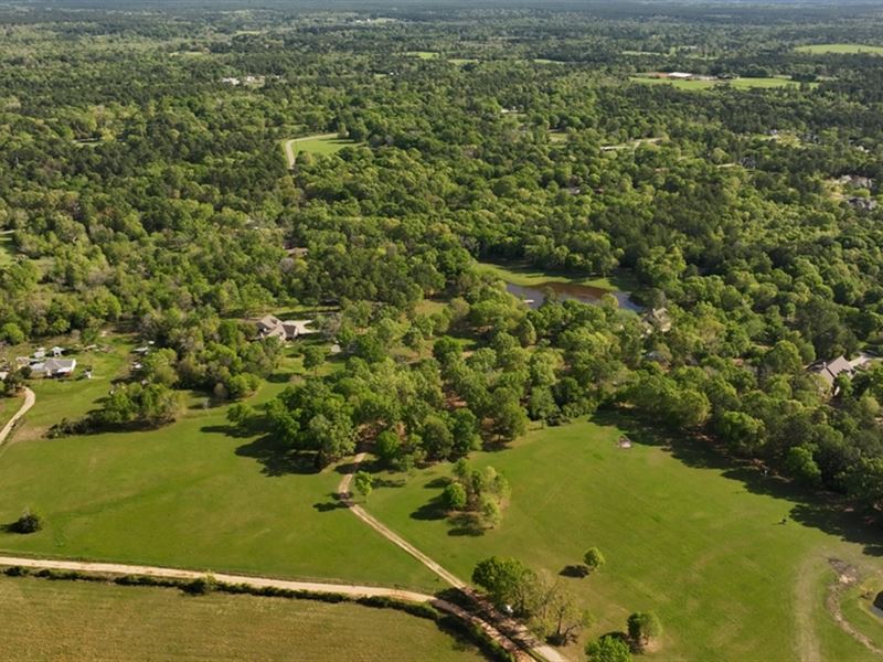 Bundy 12.5 : Montgomery : Montgomery County : Texas