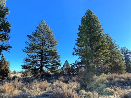 Camp, Build, or Retire in Paradise : Chiloquin : Klamath County : Oregon