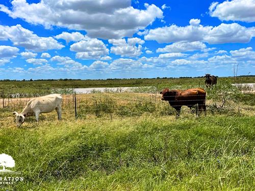 El Campo 199 Tract 1, $15K Down : El Campo : Wharton County : Texas
