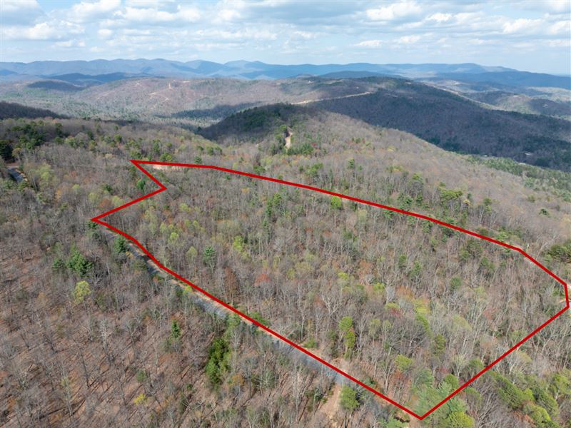 10 Acres at Chestnut Mountain Farms : North Wilkesboro : Wilkes County : North Carolina