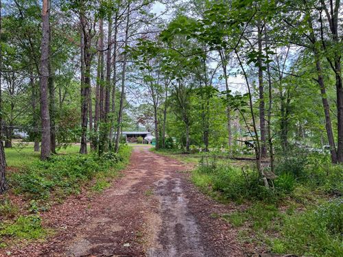 Rankin County 1.15 Acres : Brandon : Rankin County : Mississippi