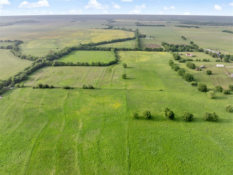 Northeast TX Pasture and Ranch Land : Roxton : Lamar County : Texas