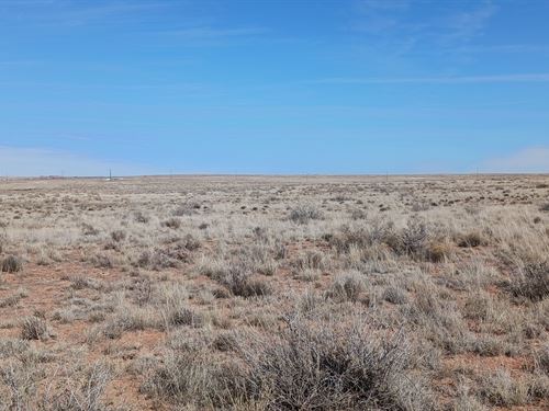 Prime Location for Epic Feats : Holbrook : Apache County : Arizona