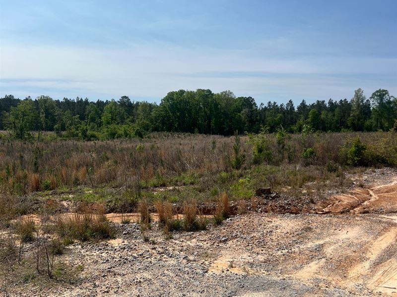 14 Acre Timber Tract with Road Fron : Chatham : Jackson Parish : Louisiana