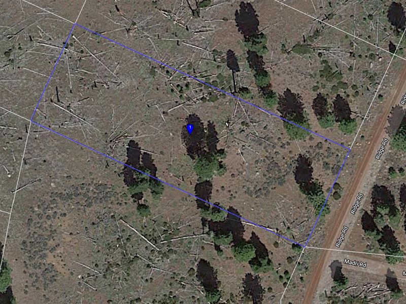 .95 Acre in California Pines : Alturas : Modoc County : California