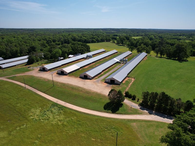 Jones County, Georgia Poultry Farm : Macon : Jones County : Georgia