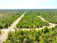 Build Near The Gulf of America : Chipley : Washington County : Florida