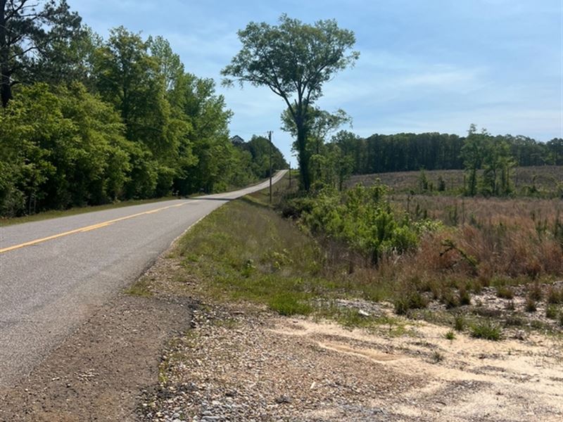 Jackson Parish Timber Tract 5b : Chatham : Jackson Parish : Louisiana