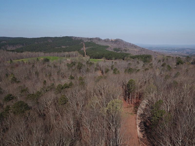 Turkey Haven Mountain, Lot 4 : Heflin : Cleburne County : Alabama