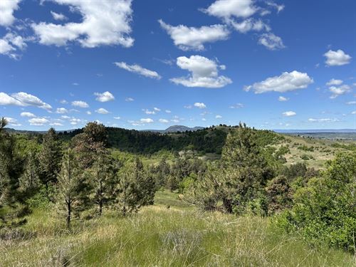 Sunset Ranch 80 Acres Spearfish : Spearfish : Lawrence County : South Dakota