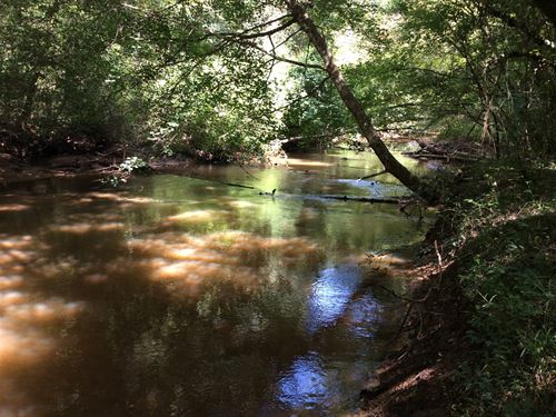 Uly Quail Tower Rd Tract, 145 Acres : Luverne : Crenshaw County : Alabama