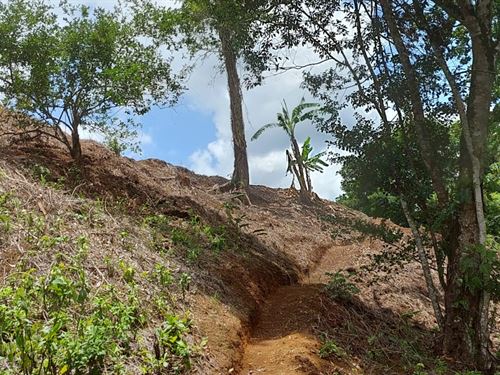 Beautiful Little Farm : San Jose Acosta : Costa Rica
