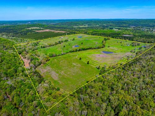 160 Acres, Barns, Pasture, Pond : Bee Branch : Van Buren County : Arkansas