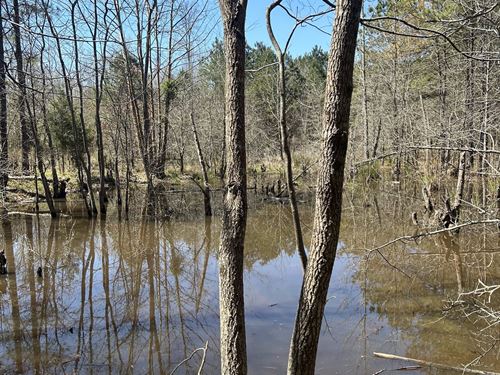 Hempstead County Land For Sale