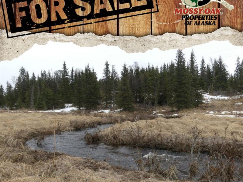 Wild Land on Happy Creek : Ninilchik : Kenai Peninsula Borough : Alaska