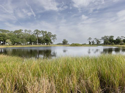 Outback Oasis Residential Dev : Winter Haven : Polk County : Florida