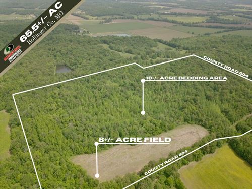 Bollinger County Land For Sale