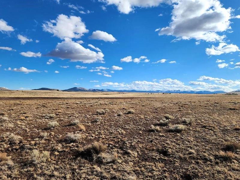 From Dirt To Dreams : Concho : Apache County : Arizona