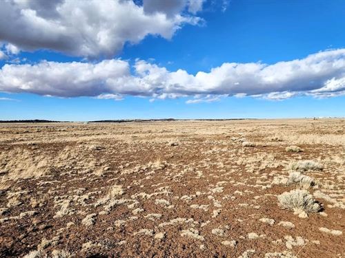 Nature Meets Opportunity : Concho : Apache County : Arizona