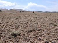 Land. Life. Legacy : Concho : Apache County : Arizona