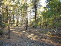 Tierra Bonita : Tierra Amarilla : Rio Arriba County : New Mexico