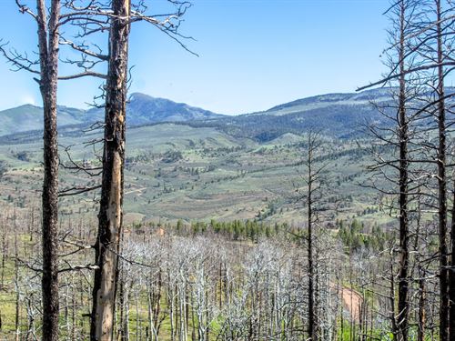 Mountain View Land in Forbes Park : Fort Garland : Costilla County : Colorado