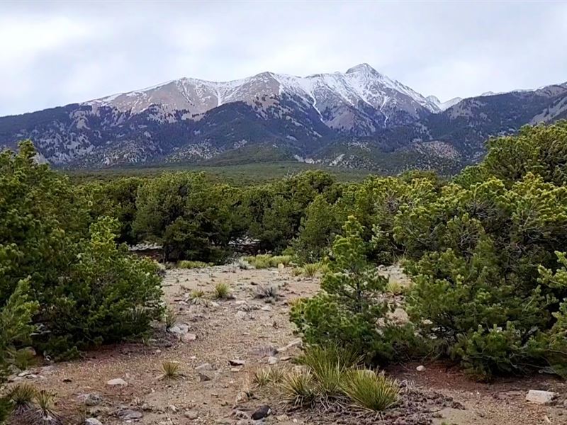 14Er Views Foothills of Mt. Blanca : Blanca : Costilla County : Colorado