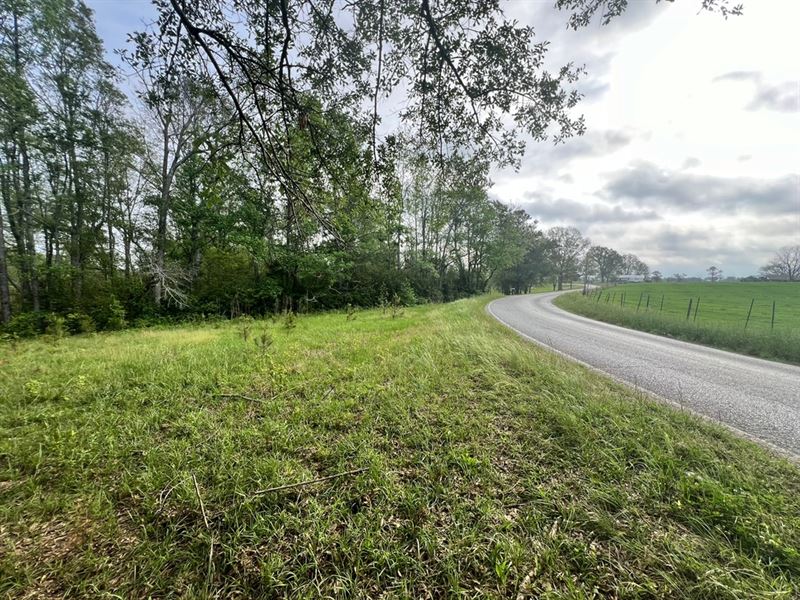 138 Acres in Scott County, MS : Forest : Scott County : Mississippi