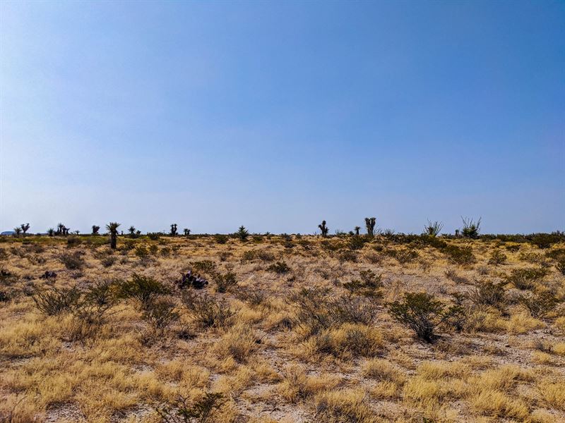 El Paso Escapade : El Paso : El Paso County : Texas