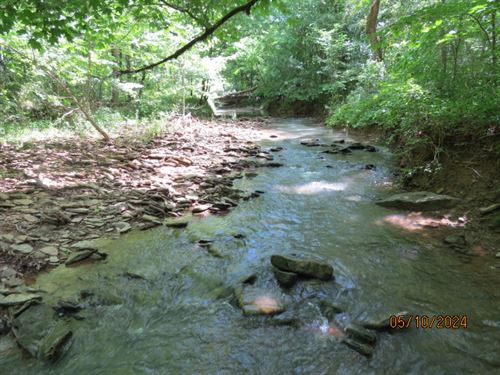 Between Smith Lake & Birmingham : Dodge City : Cullman County : Alabama