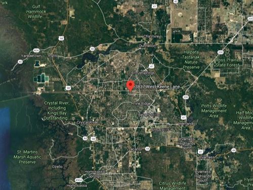 Citrus County Lot with Public Water : Citrus Springs : Citrus County : Florida