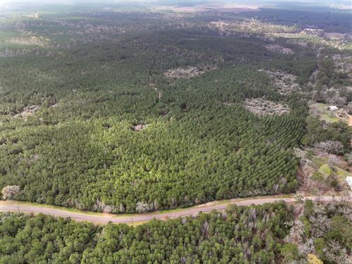 40 Acres, T-5 CR 2145 : Wheeler Springs : Houston County : Texas
