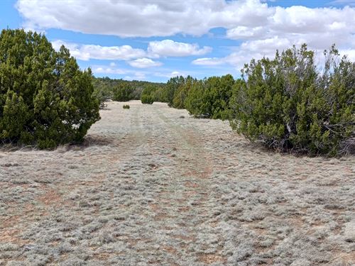 Your Private Adventure Headquarters : Concho : Apache County : Arizona