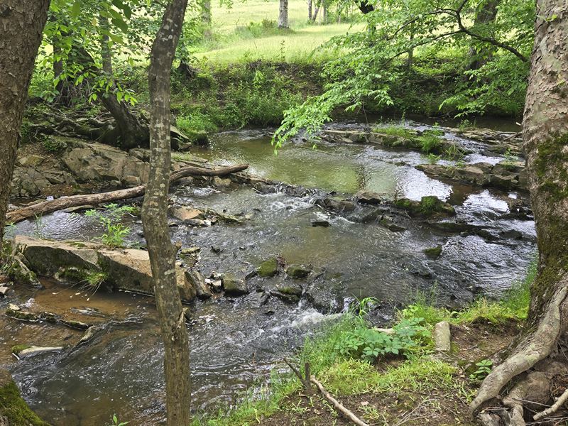 Hunter's Paradise : Keysville : Lunenburg County : Virginia