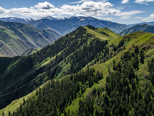 Race Creek Ranch : Riggins : Idaho County : Idaho