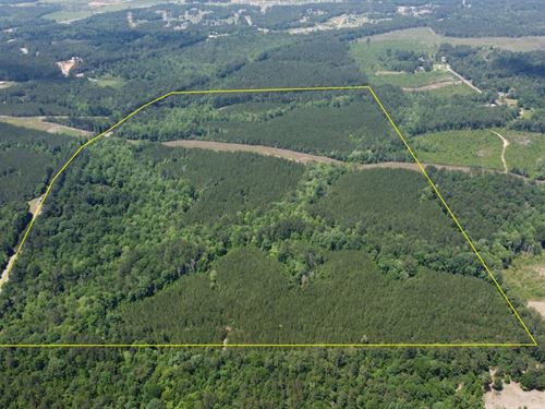 Land For Sale In Jones County Ms Mississippi Land for Sale : Page 23 of 57 : LANDFLIP