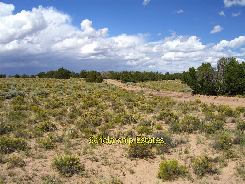 Arizona Off Grid Dream : Sanders : Apache County : Arizona
